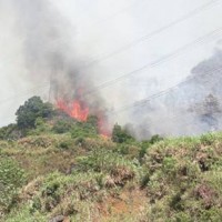 输电线路防山火监测装置-山火预警系统