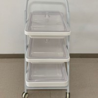 双层内镜转运车
