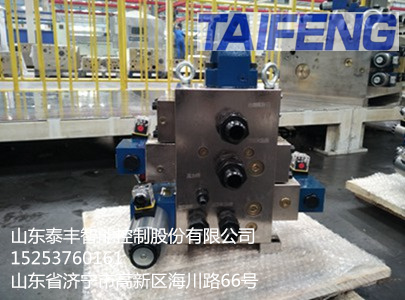 山东泰丰智能供应锻压机用插装阀YN32-100GSBCV